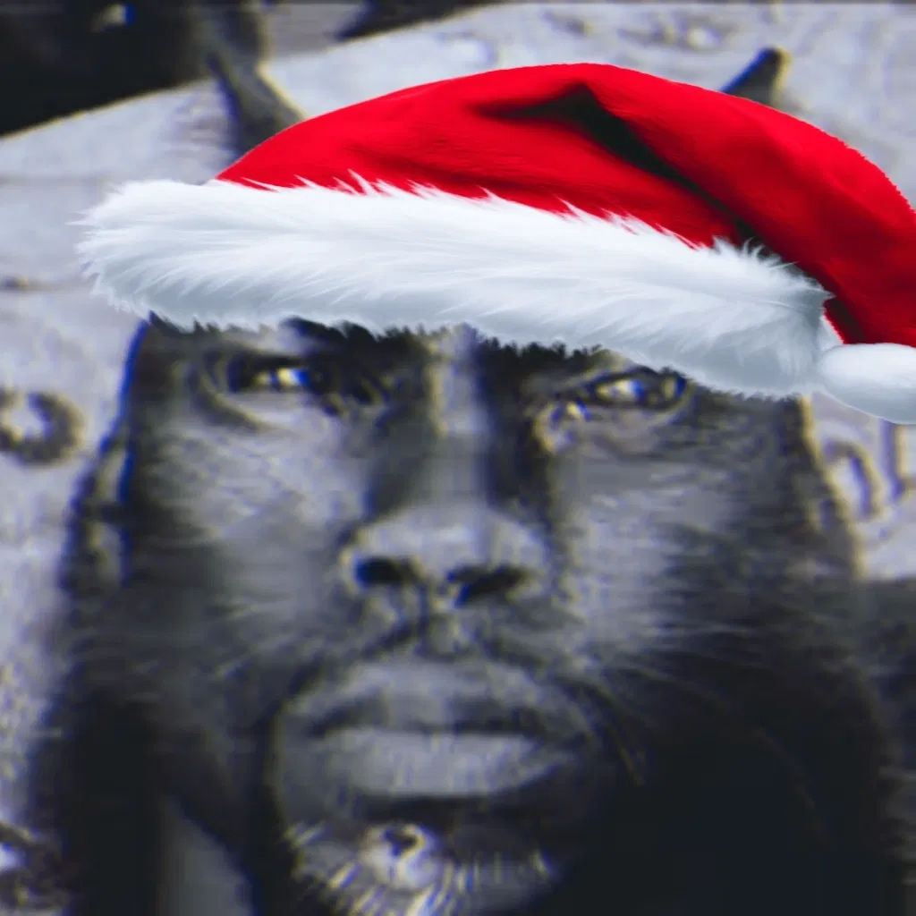 Avatar of Kevin Hart Cat