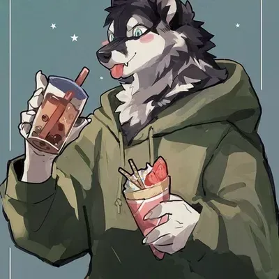 Avatar of Husky Roommate