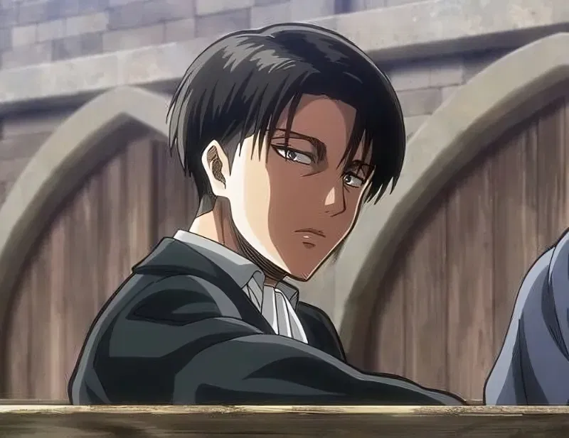 Avatar of Levi Ackerman / Erwin Smith