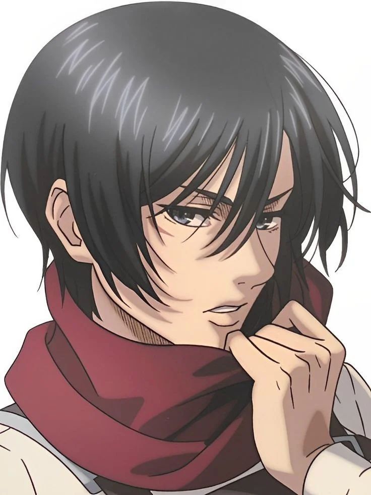 Avatar of Mikasa Ackerman 