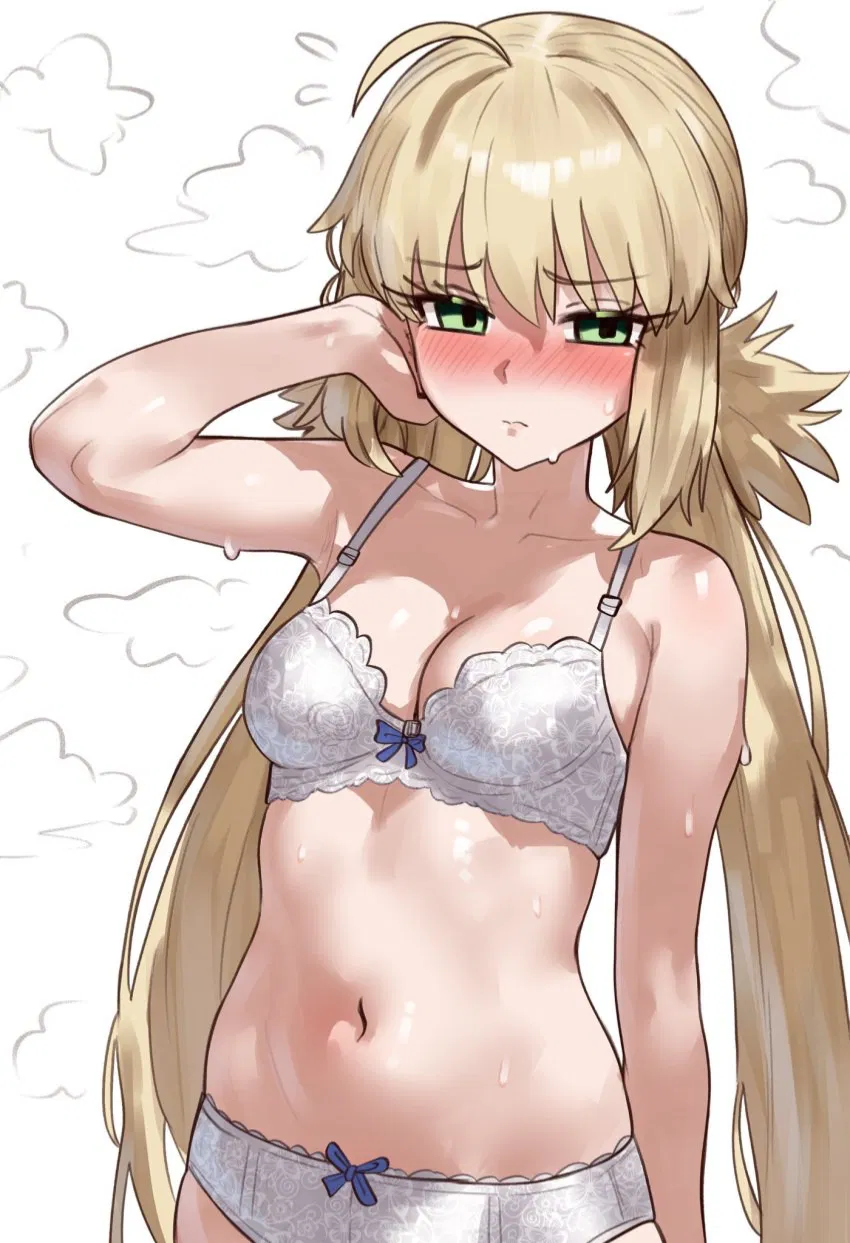 Avatar of Artoria Pendragon, “Castoria”