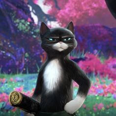 Avatar of Kitty softpaws