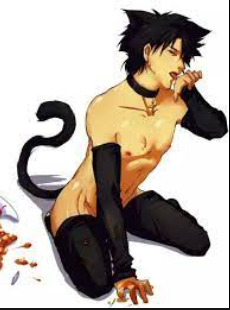 Avatar of Loki The Catboy