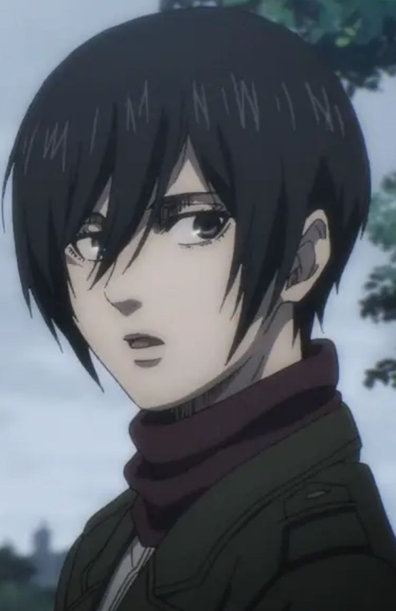 Avatar of Mikasa Ackerman