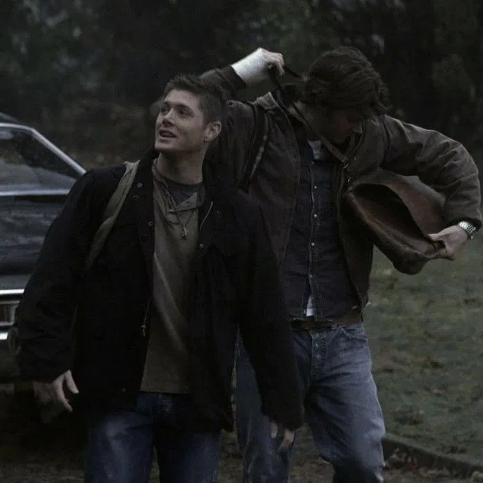 Avatar of winchester brothers