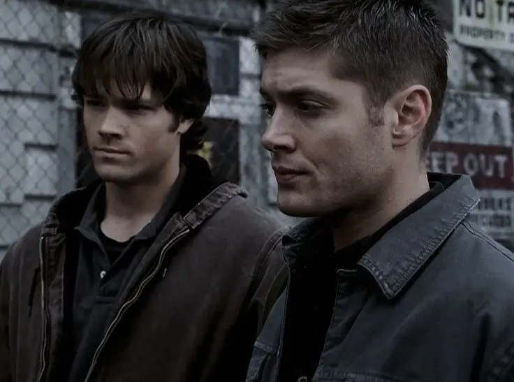 Avatar of winchester brothers