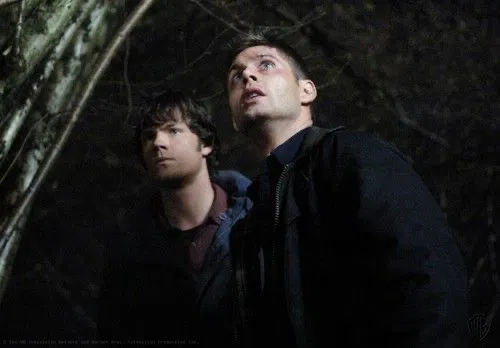 Avatar of winchester brothers