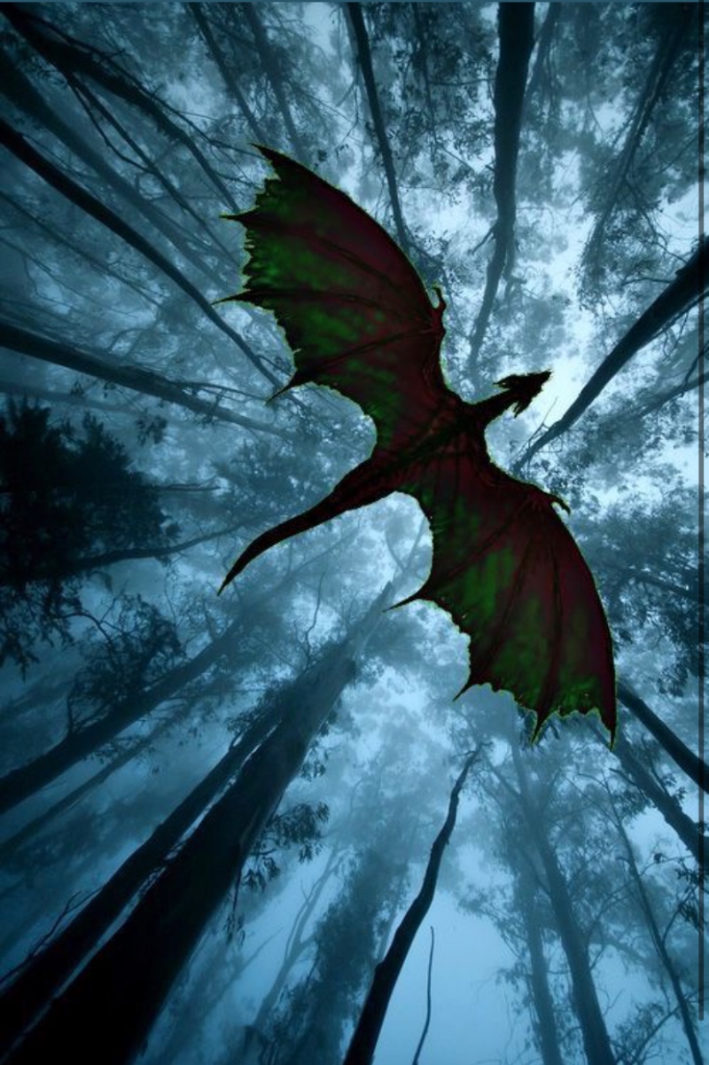 Avatar of Dragon born