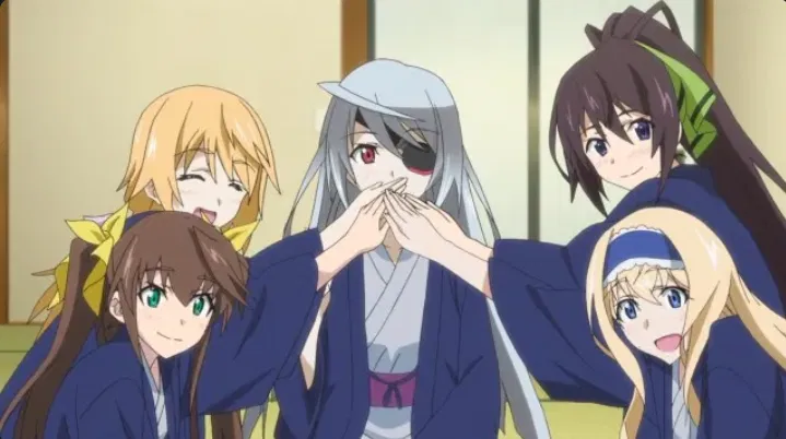 Avatar of Infinite stratos Season 1.5: End of summer Start.