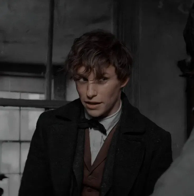 Avatar of Fantastic Beasts — Newt Scamander 