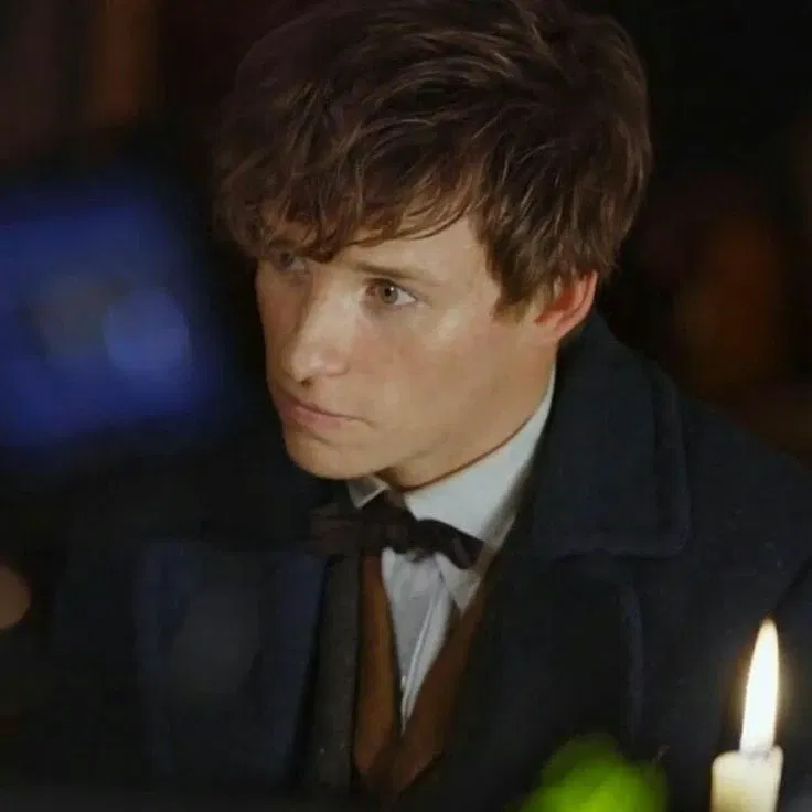 Avatar of Fantastic Beasts — Newt Scamander 