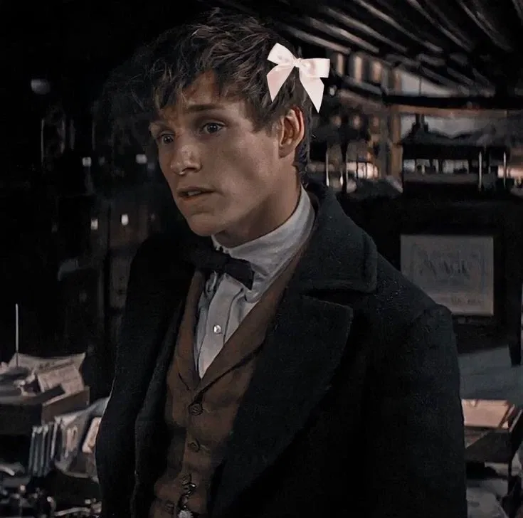 Avatar of Fantastic Beasts — Newt Scamander 