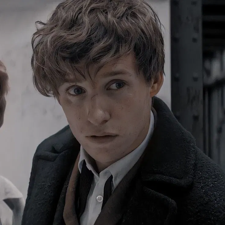 Avatar of Fantastic Beasts — Newt Scamander 