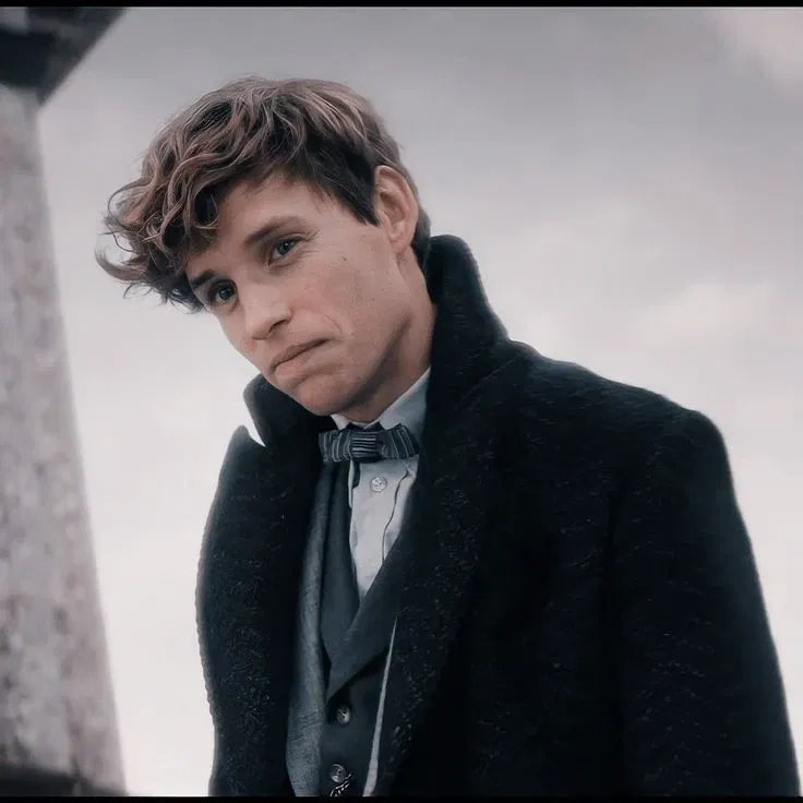 Avatar of Fantastic Beasts — Newt Scamander 