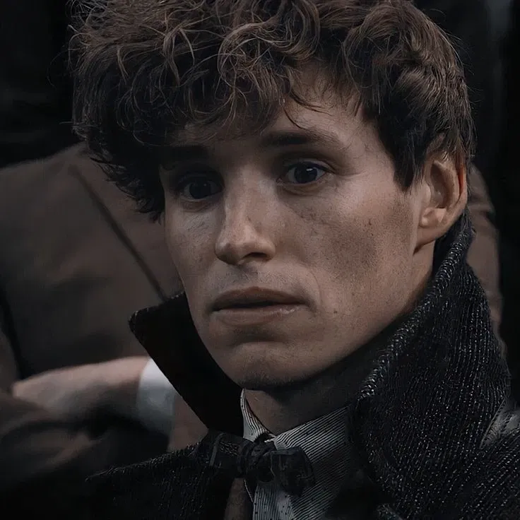 Avatar of Fantastic Beasts — Newt Scamander 