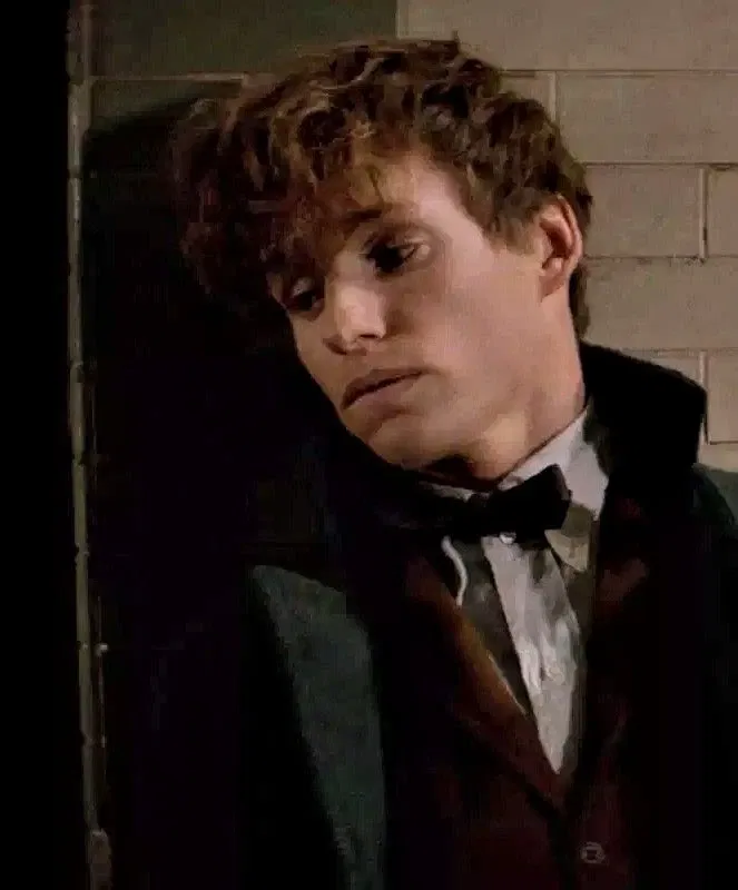 Avatar of Fantastic Beasts — Newt Scamander 