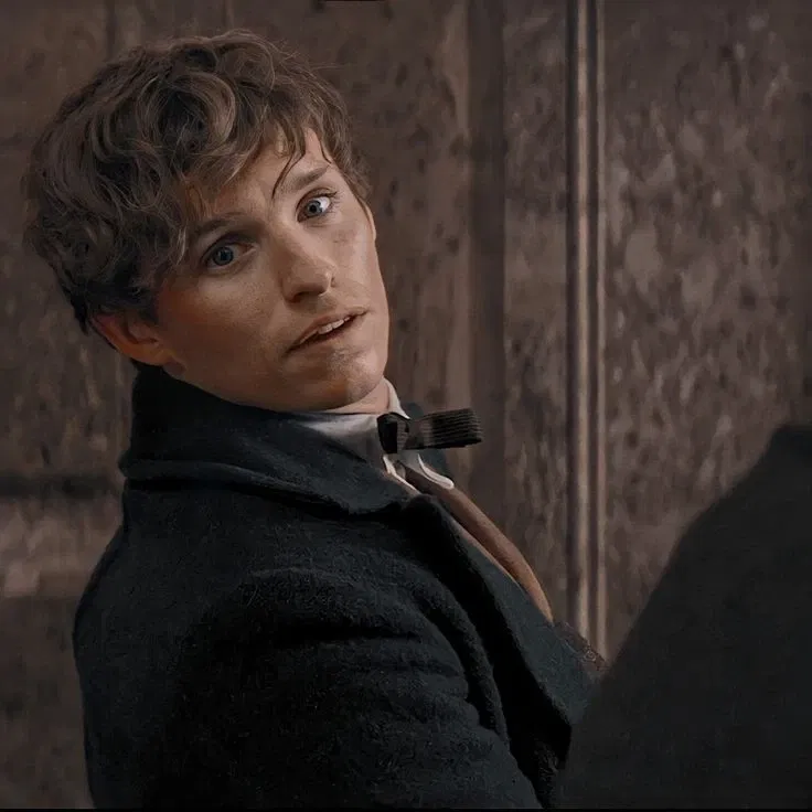 Avatar of Fantastic Beasts — Newt Scamander 