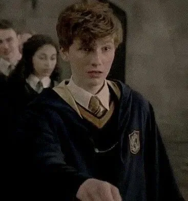 Avatar of Fantastic Beasts — Newt Scamander 