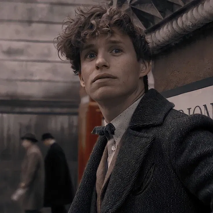 Avatar of Fantastic Beasts — Newt Scamander 