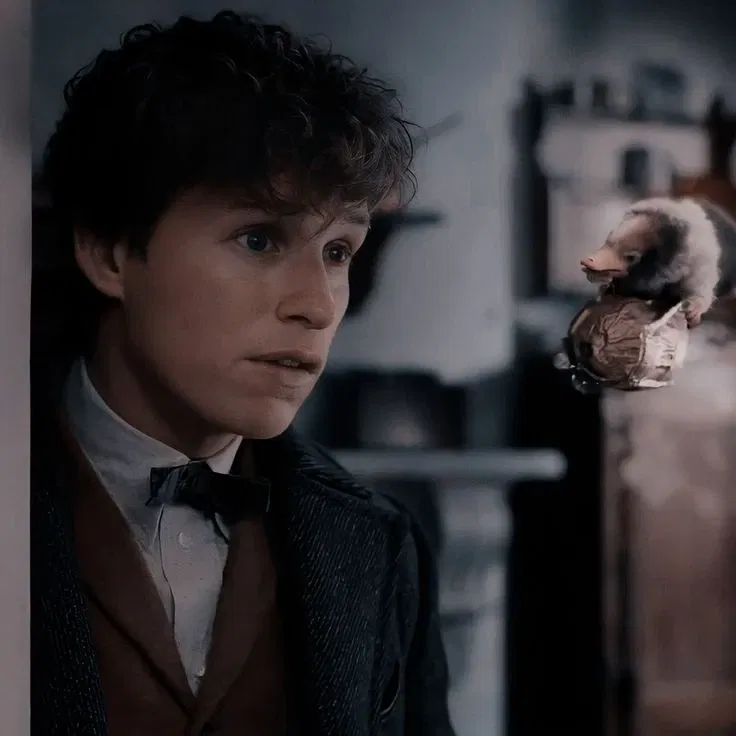 Avatar of Fantastic Beasts — Newt Scamander 