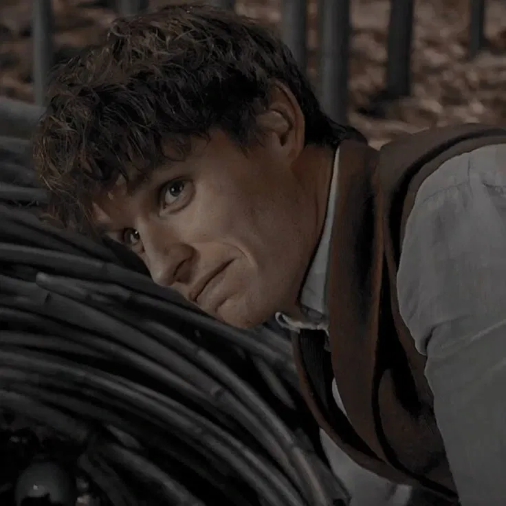 Avatar of Fantastic Beasts — Newt Scamander || VS5
