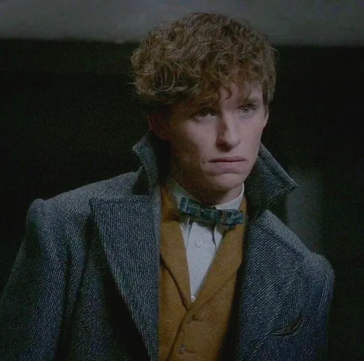 Avatar of Fantastic Beasts — Newt Scamander 
