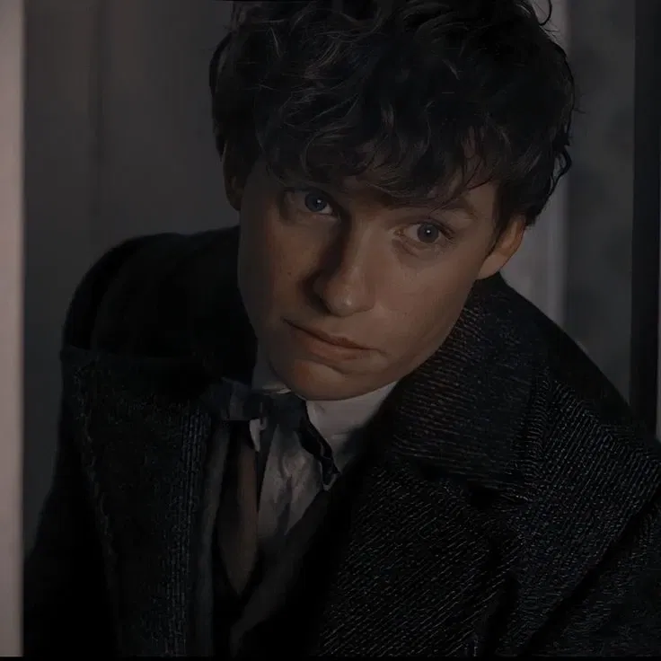 Avatar of Fantastic Beasts — Newt Scamander 