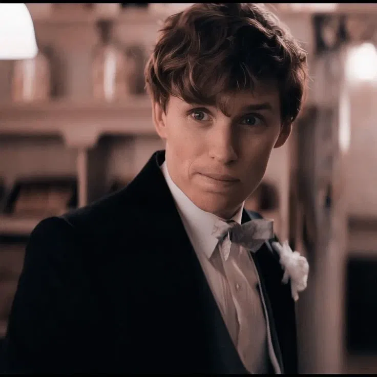 Avatar of Fantastic Beasts — Newt Scamander || VS4