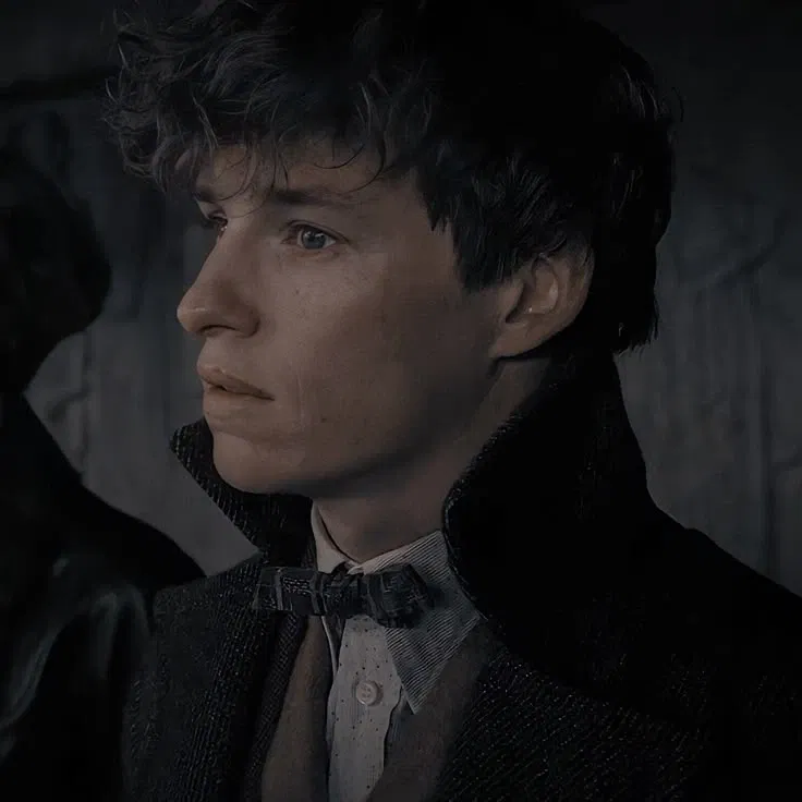 Avatar of Fantastic Beasts — Newt Scamander || V2