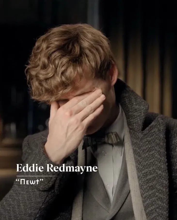 Avatar of Fantastic Beasts — Newt Scamander 