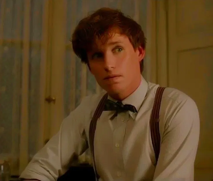 Avatar of Fantastic Beasts — Newt Scamander || VS1