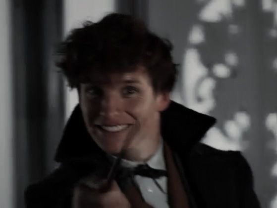 Avatar of Fantastic Beasts — Newt Scamander