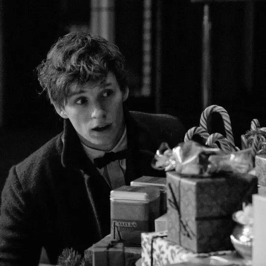 Avatar of Fantastic Beasts — Newt Scamander 