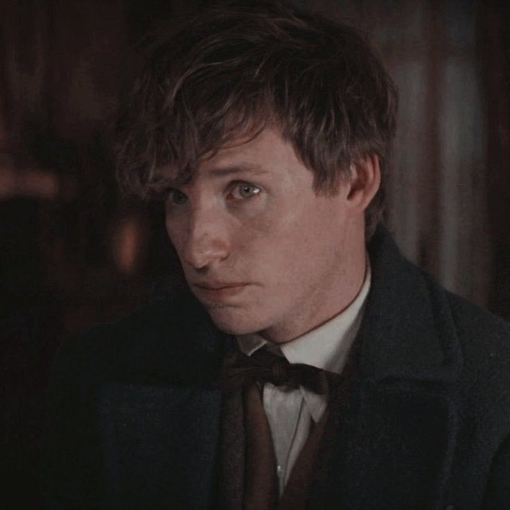Avatar of Fantastic Beasts — Newt Scamander