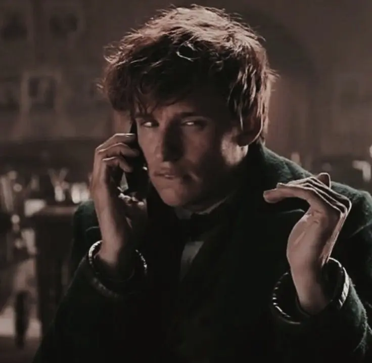 Avatar of Fantastic Beasts — Newt Scamander
