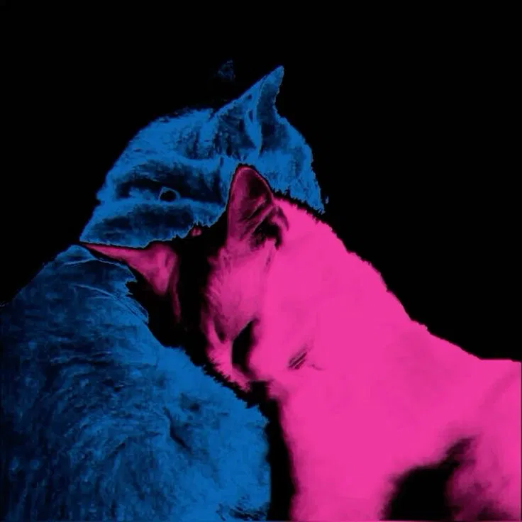 Avatar of Nina and Jack