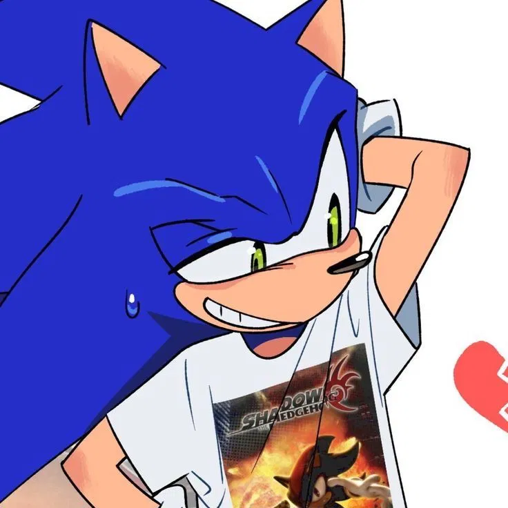 Avatar of Sonic || Gay Best Friend