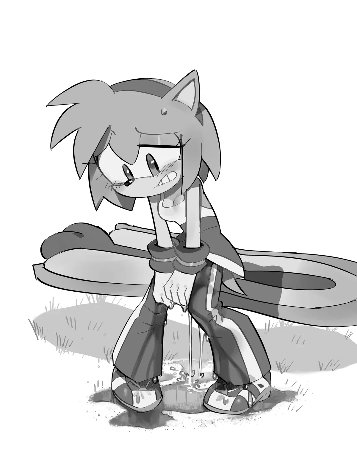 Avatar of Amy Rose, happy flower hedgehog. 💛Omorashi💛