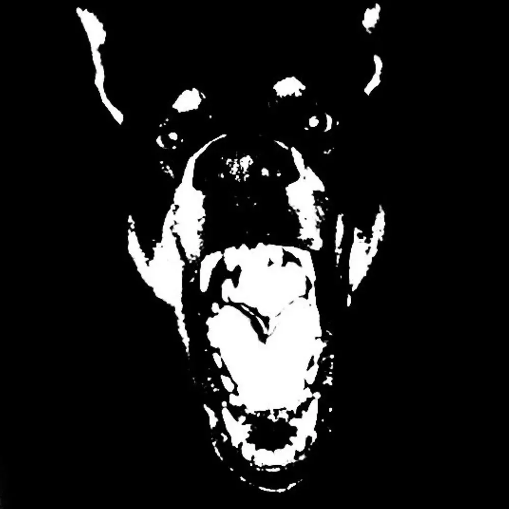 Avatar of code test