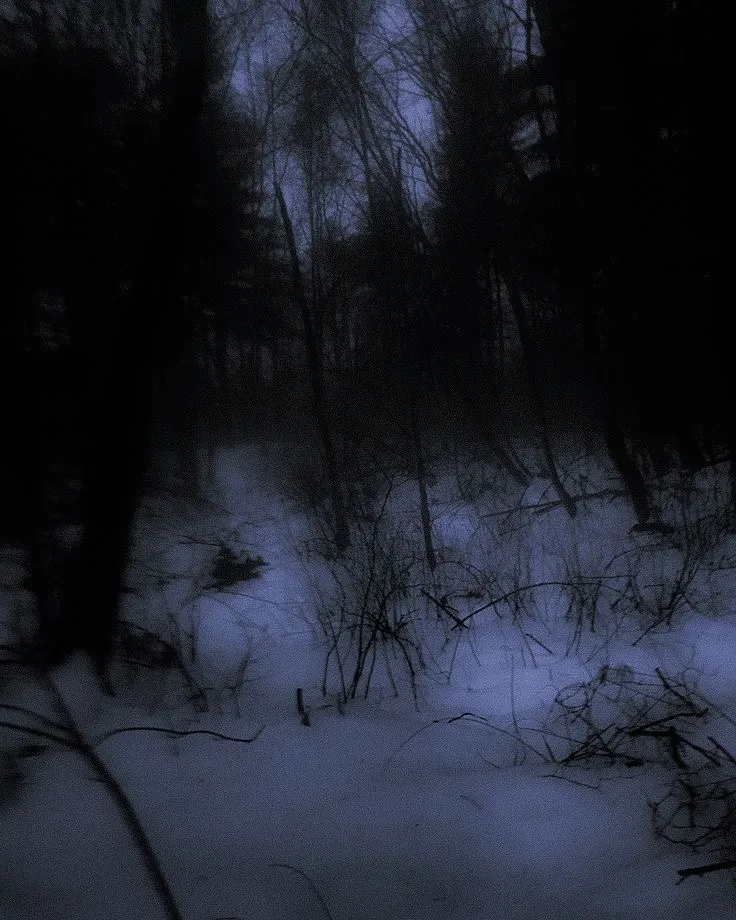 Avatar of "You're pretty, just like blood on snow."