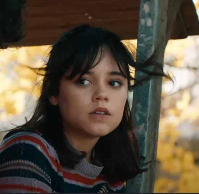 Avatar of The Girl Who Broke Through Your Fence
