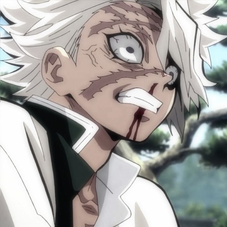 Avatar of Sanemi