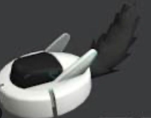 Avatar of Protogen(roomba)