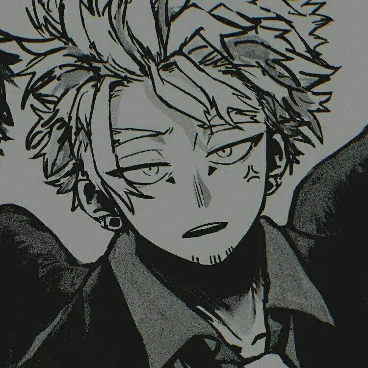 Avatar of Keigo (Hawks) 🐦‍🔥 