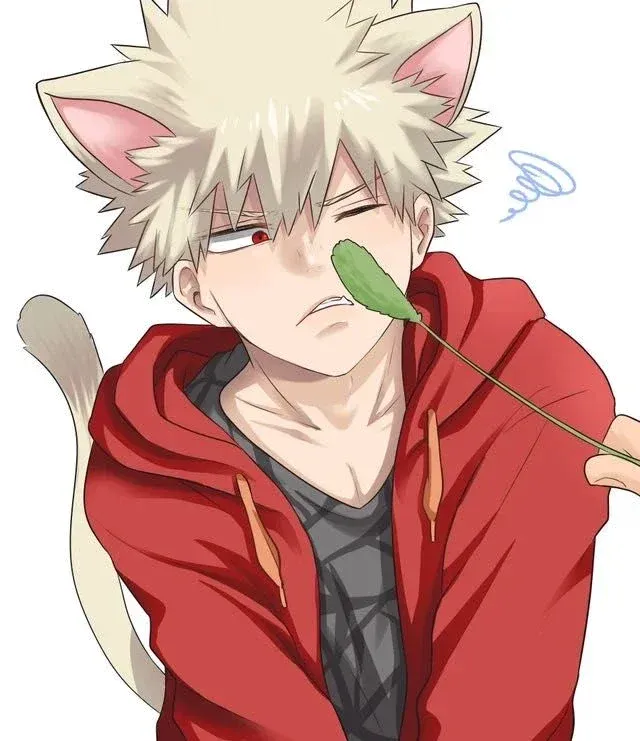 Avatar of Katsuki Bakugo cat boy