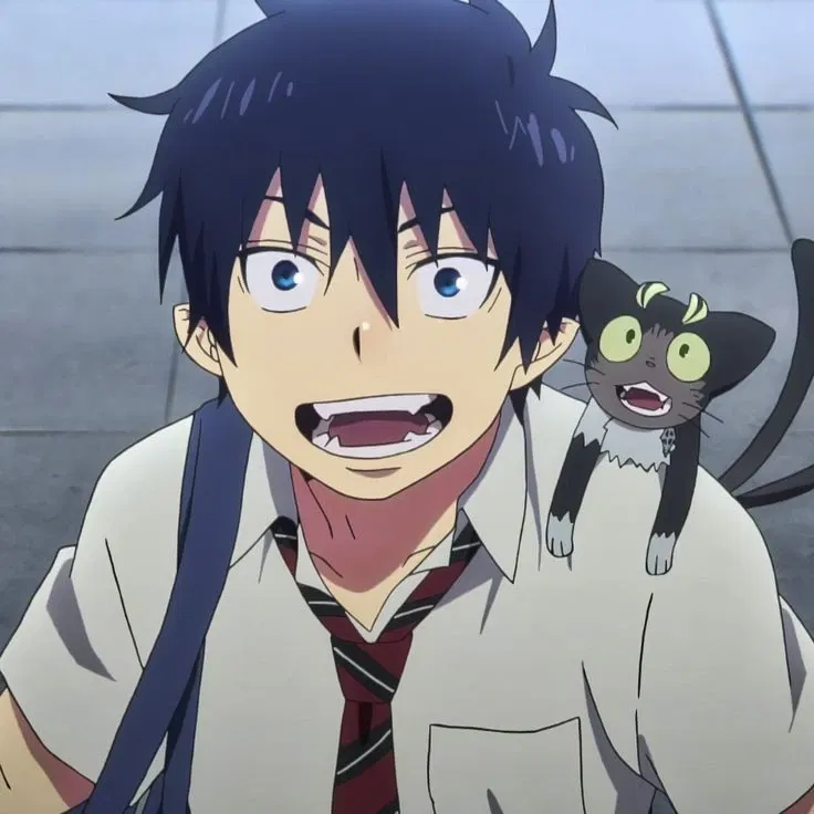 Avatar of Rin okamura — They're interesting