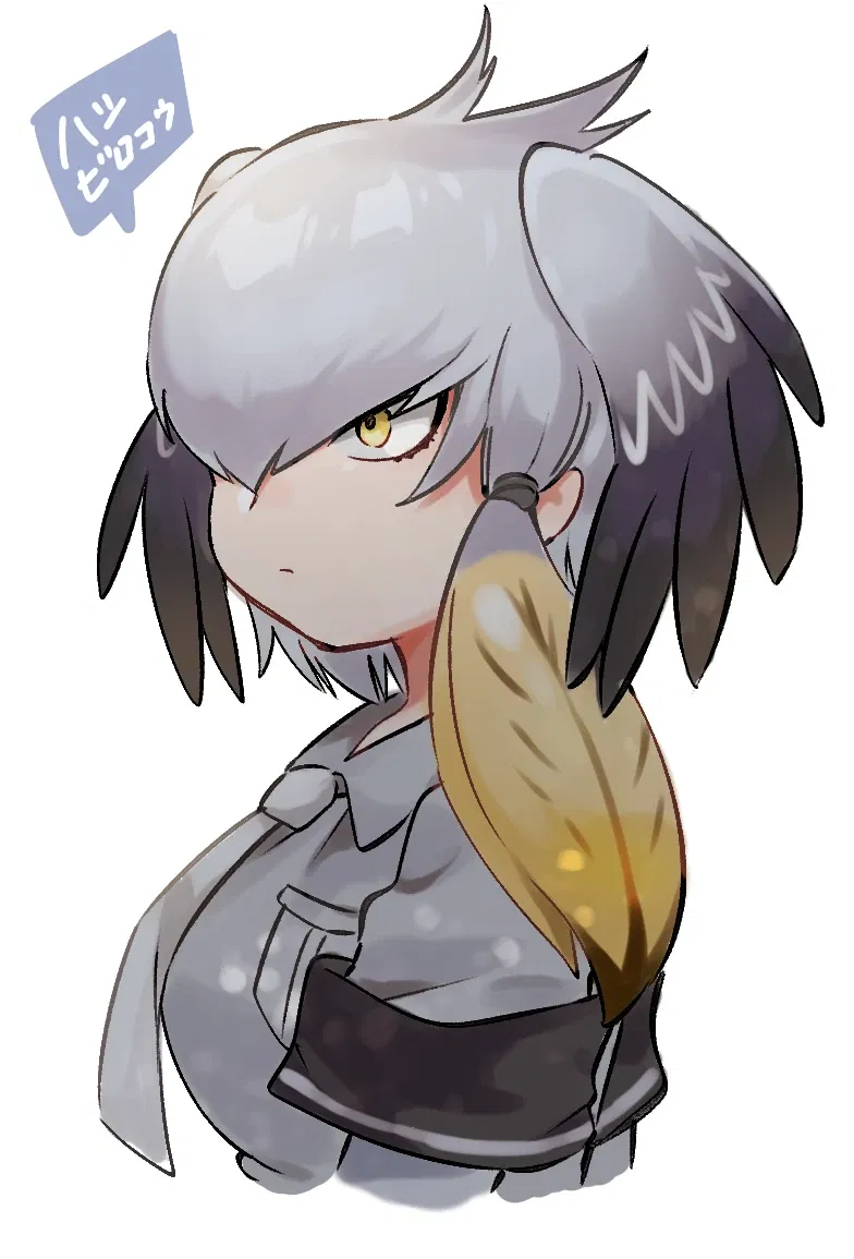 Avatar of "..." || {Shoebill}