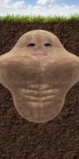 Avatar of Brotato