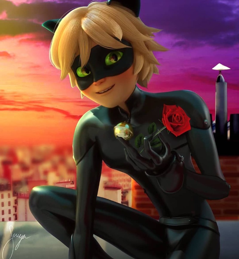 Avatar of Chat noir