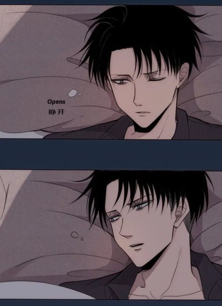 Avatar of Levi Ackerman